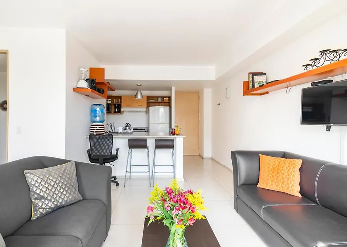 C202 - 1br - 1bth * Mexico City